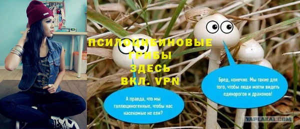 дживик Лихославль