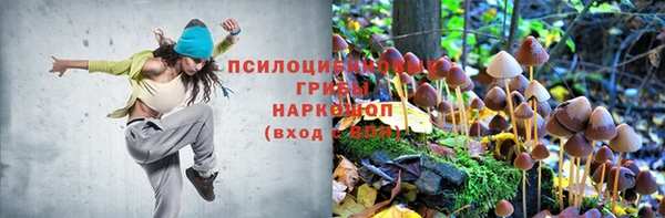 марки lsd Липки